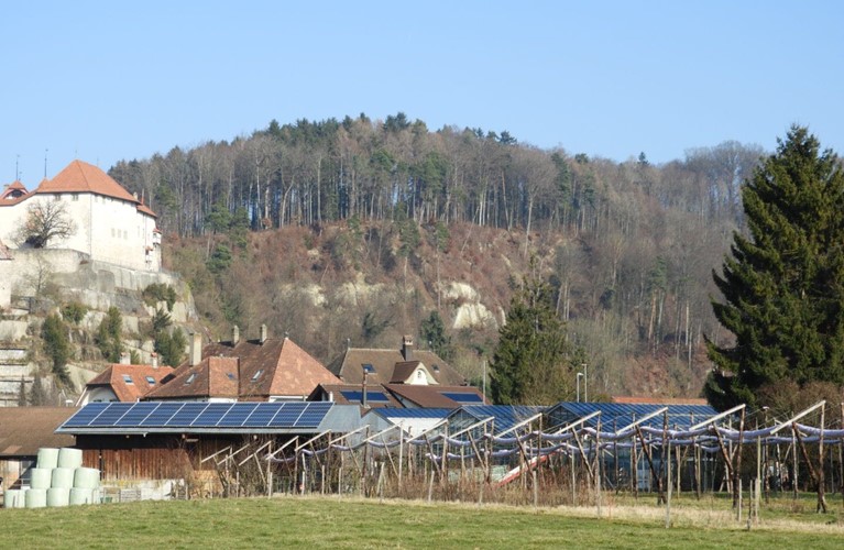 Zurzeit im Bau Laupen - Bösingenstrasse